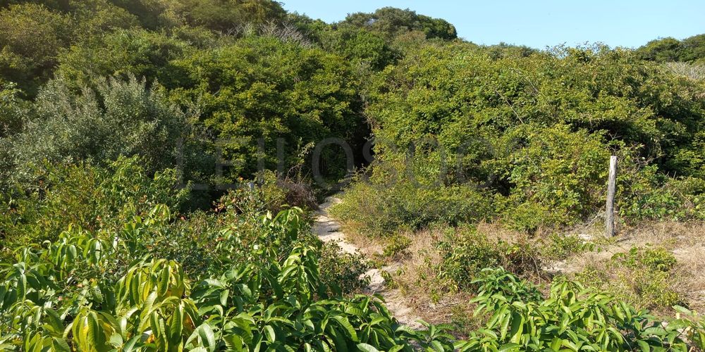 Infraestruturas em terreno com 5 hectares 9