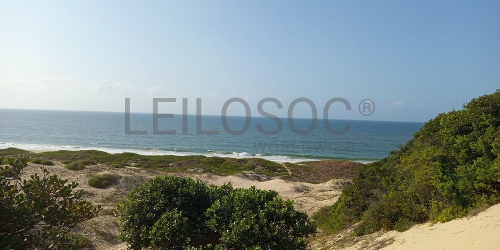 Infraestruturas em terreno com 5 hectares 12