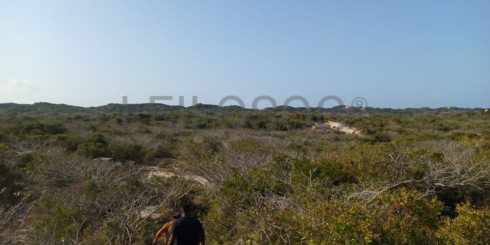 Infraestruturas em terreno com 5 hectares 2