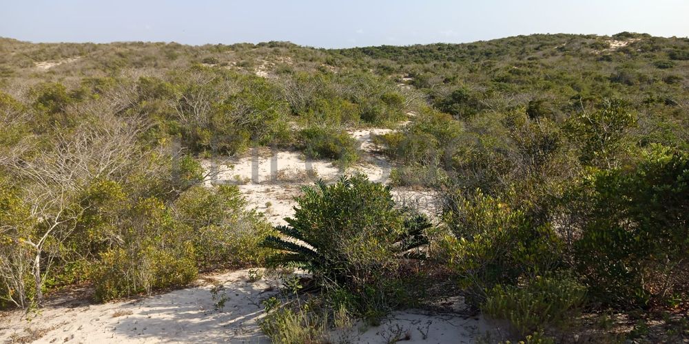 Infraestruturas em terreno com 5 hectares 6