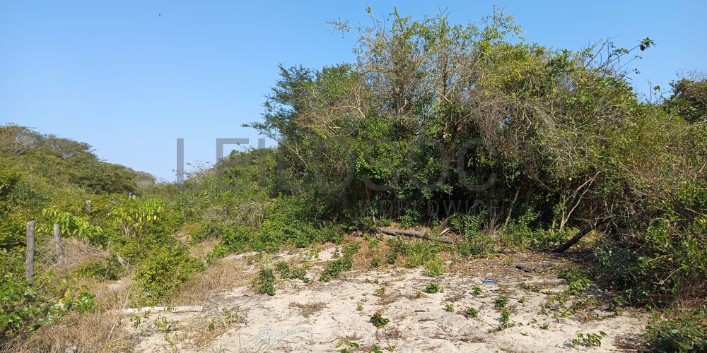Infraestruturas em terreno com 5 hectares 11