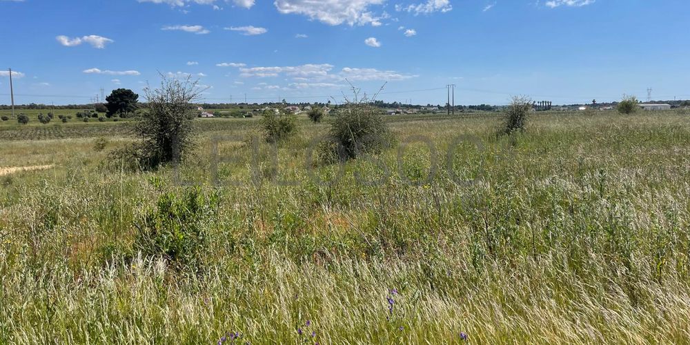 Quinta com 5,9 hectares · Palmela 2