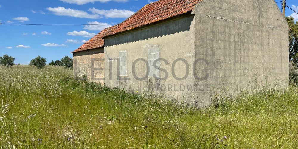 Quinta com 5,9 hectares · Palmela 6