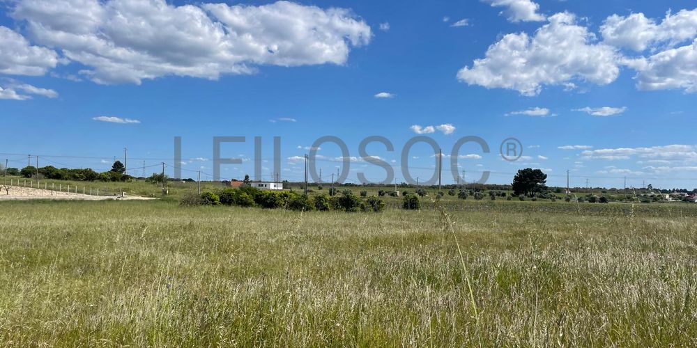 Quinta com 5,9 hectares · Palmela 10