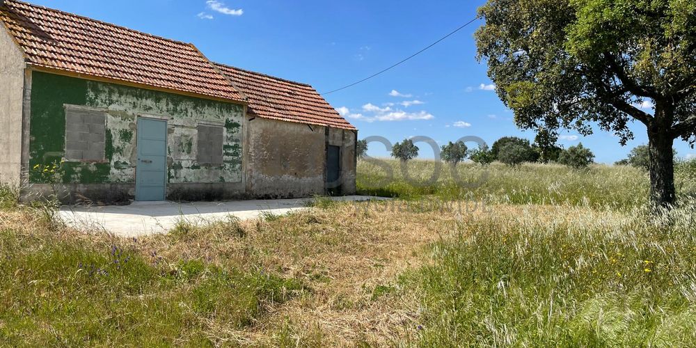 Quinta com 5,9 hectares · Palmela 3