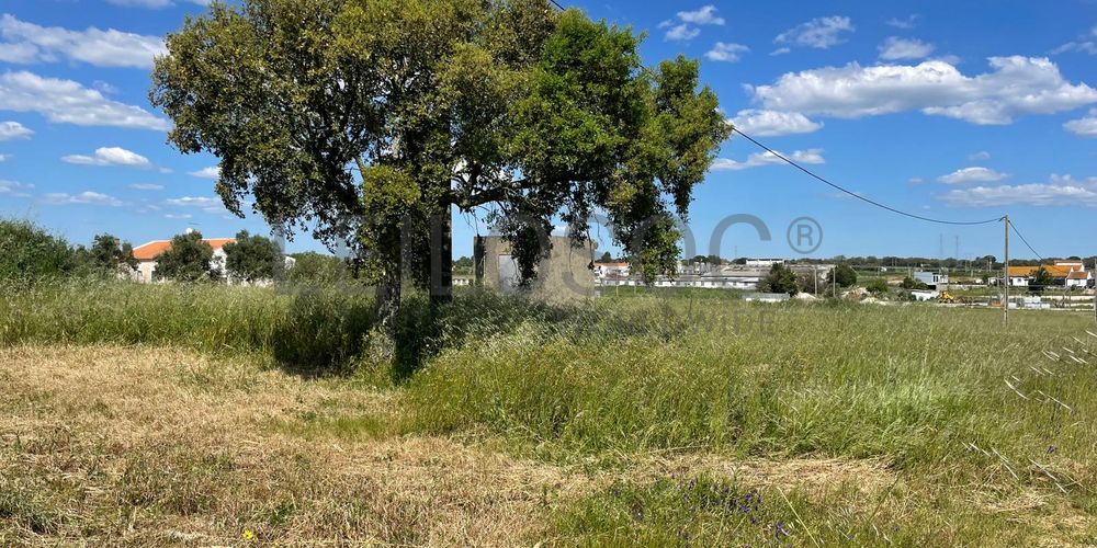 Quinta com 5,9 hectares · Palmela 5