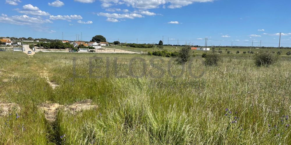 Quinta com 5,9 hectares · Palmela 7