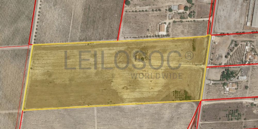 Quinta com 5,9 hectares · Palmela 4