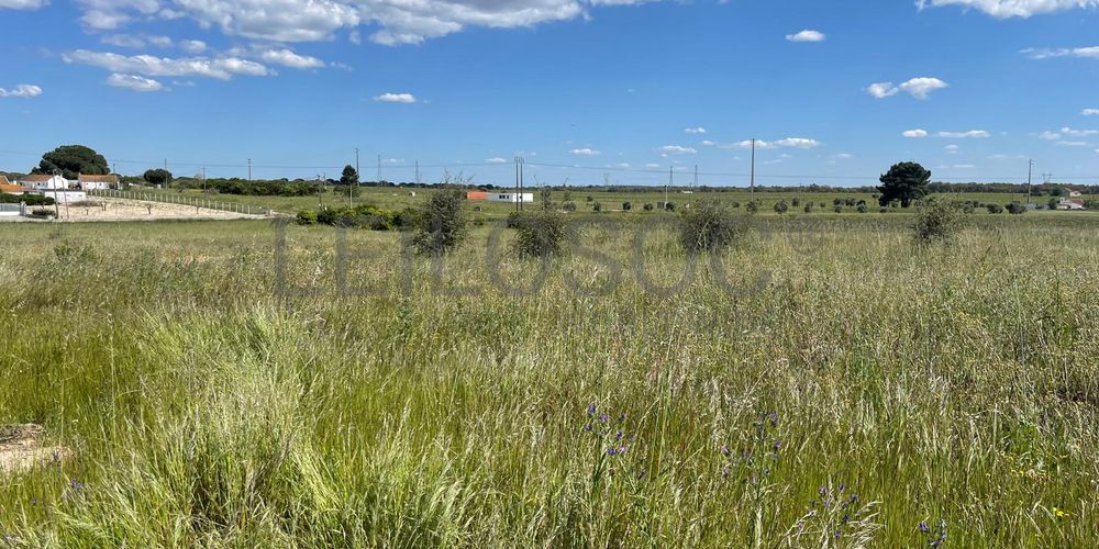 Quinta com 5,9 hectares · Palmela 12