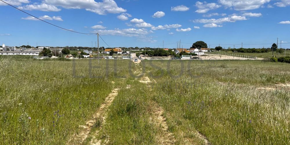 Quinta com 5,9 hectares · Palmela 11