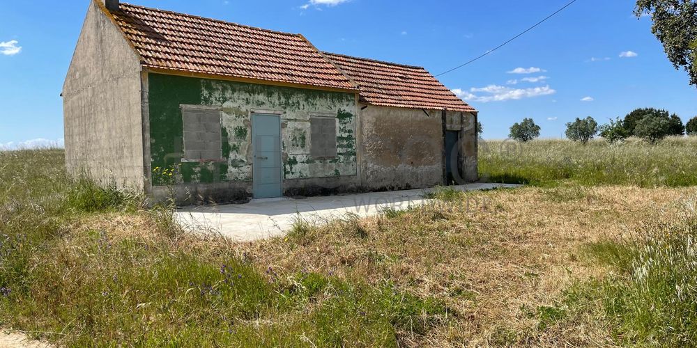 Quinta com 5,9 hectares · Palmela