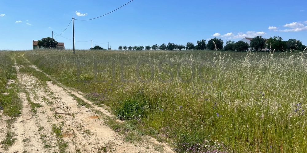 Quinta com 5,9 hectares · Palmela 8