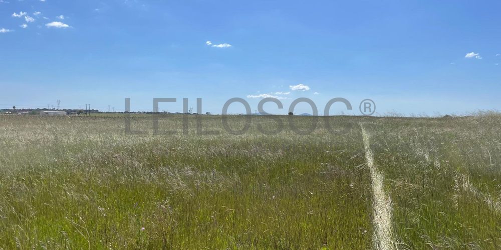 Quinta com 5,9 hectares · Palmela 9