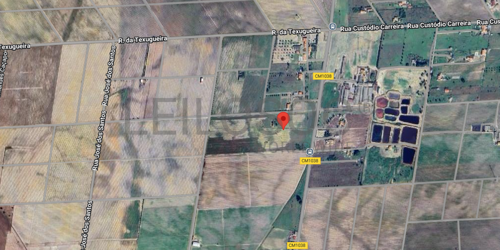 Quinta com 5,9 hectares · Palmela 13