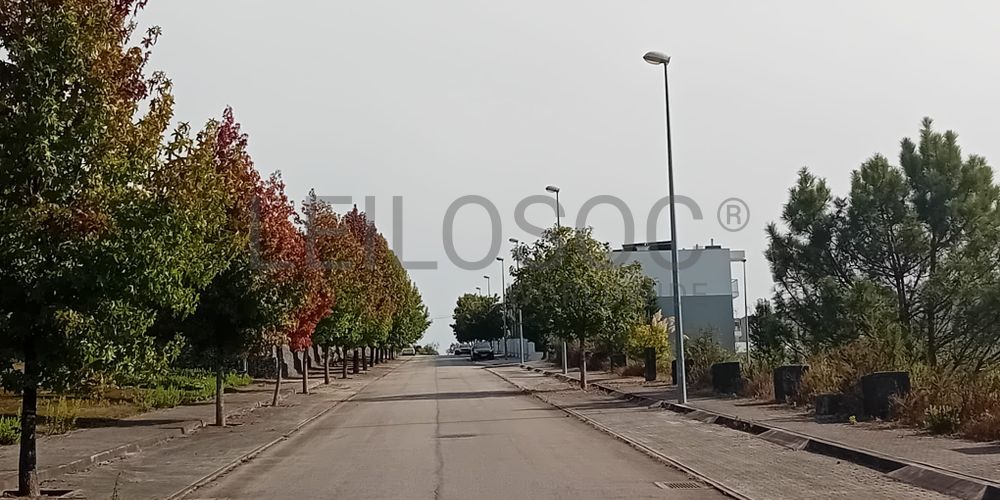 Terreno para Construção · Vila Nova de Famalicão 4