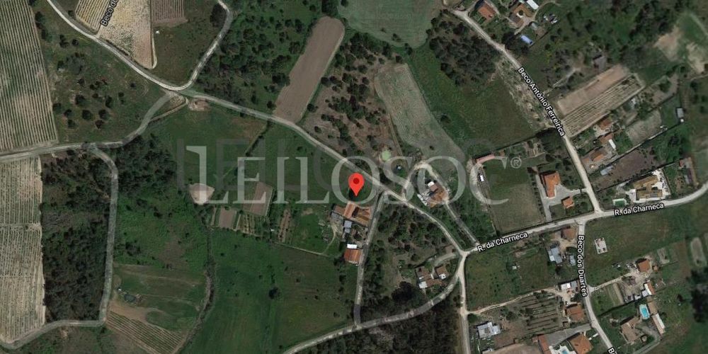 Moradia + Terreno · Pontével, Cartaxo 20