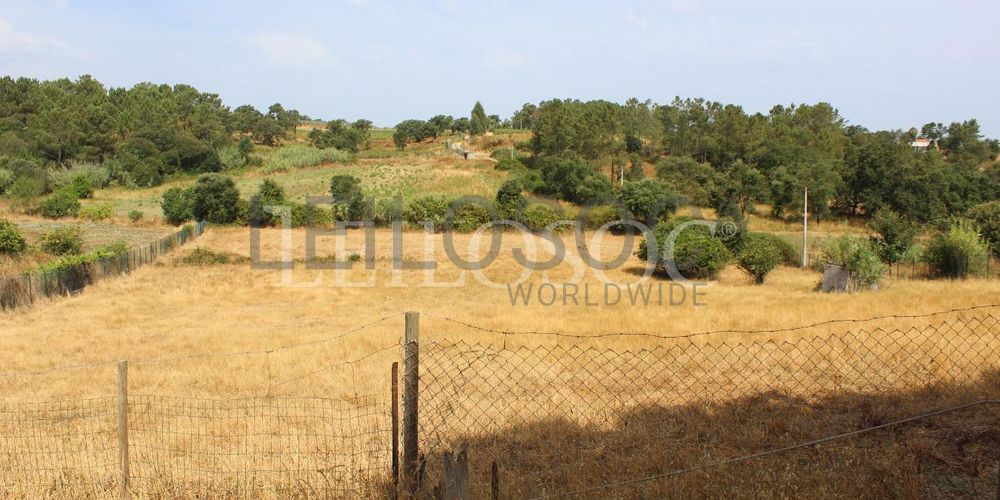 Moradia + Terreno · Pontével, Cartaxo 9