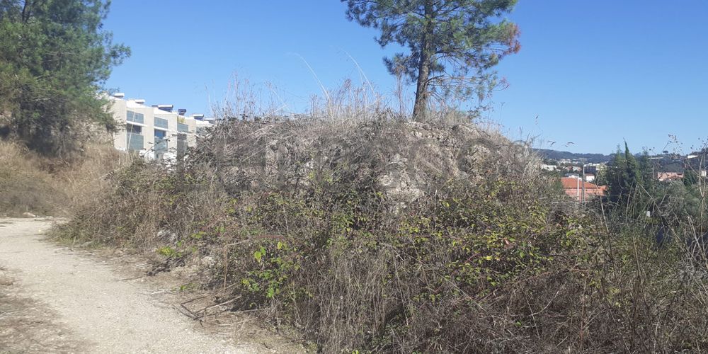 Terreno para Construção · Vizela 4