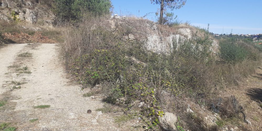 Terreno para Construção · Vizela 5