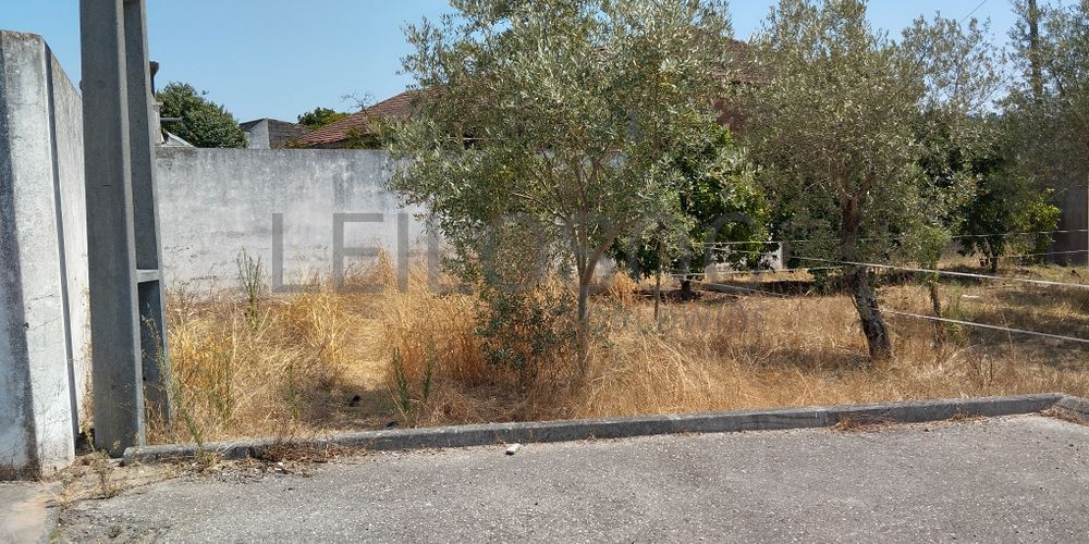 Terreno · Leiria 4