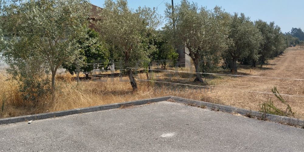 Terreno · Leiria