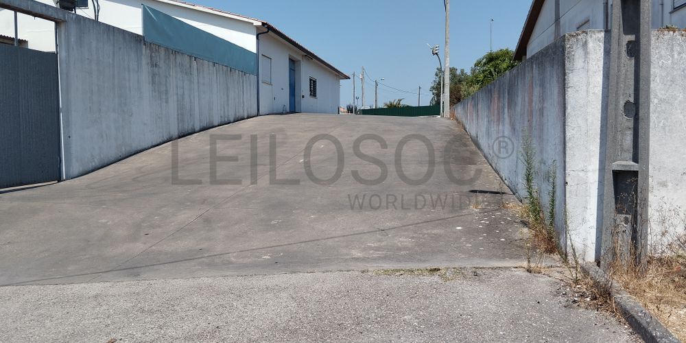 Terreno · Leiria 5