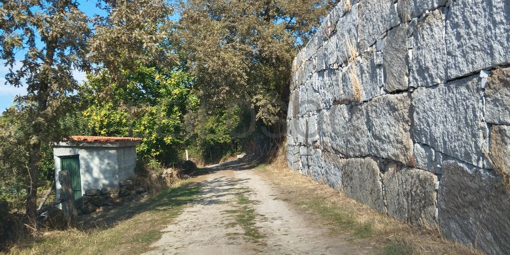 Proporção de ½ de Terreno · Vila Nova de Paiva 5