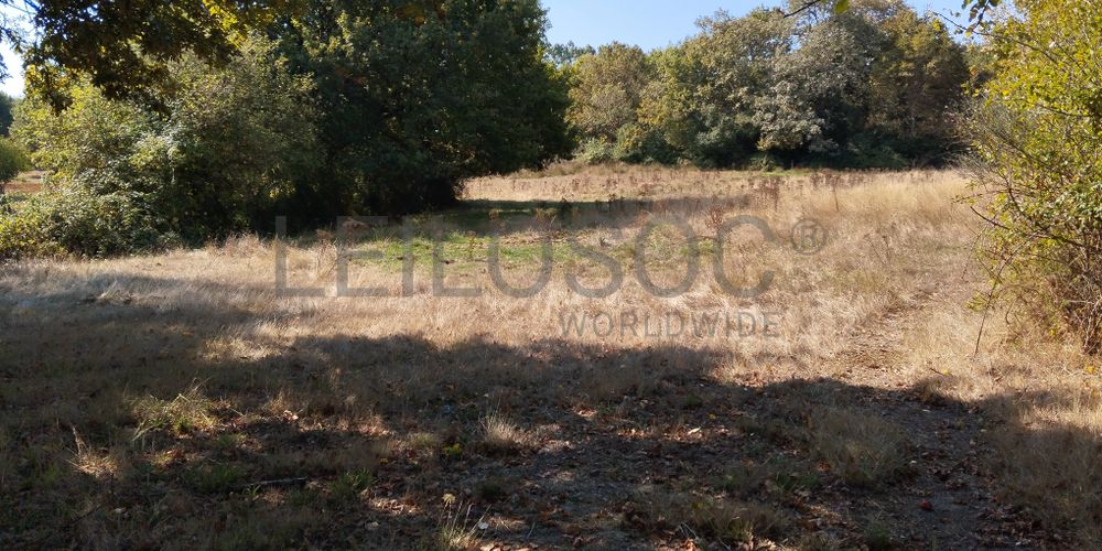 Proporção de ½ de Terreno · Vila Nova de Paiva