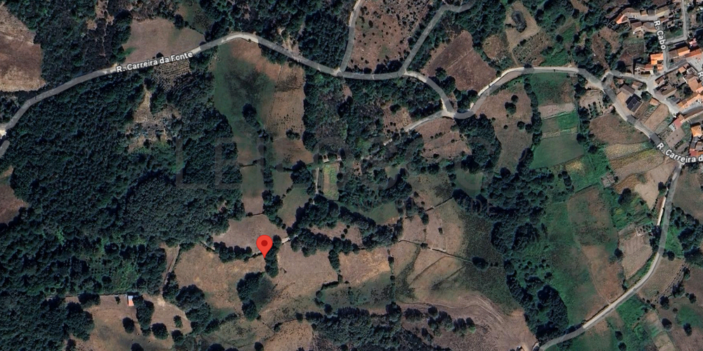 Proporção de ½ de Terreno · Vila Nova de Paiva 6