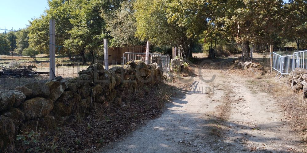 Proporção de ½ de Terreno · Vila Nova de Paiva 4