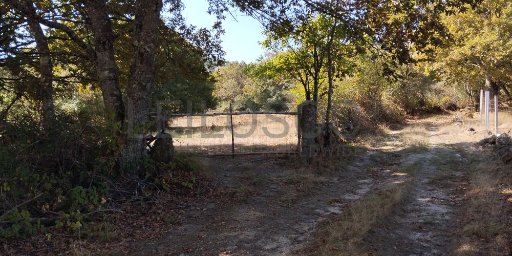 Proporção de ½ de Terreno · Vila Nova de Paiva 3