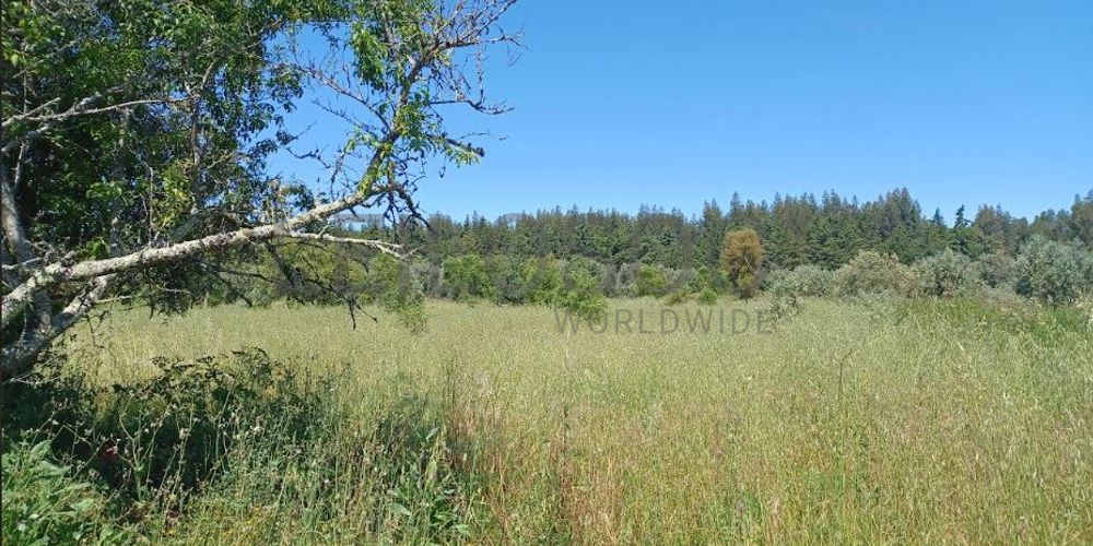 Terreno Rústico com 12.880 m² · Ferreira do Zêzere