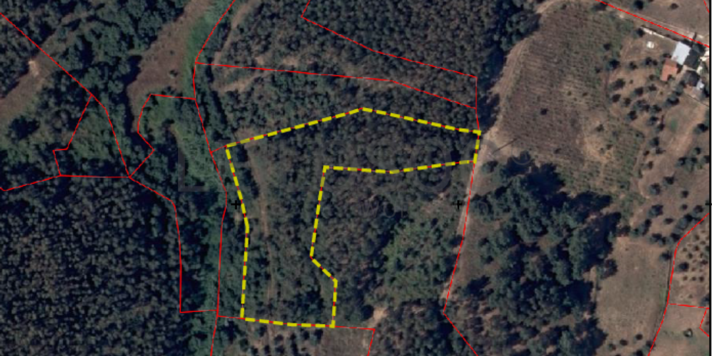 Terreno com 4.700 m² · Igreja Nova do Sobral, Ferreira do Zêzere 7