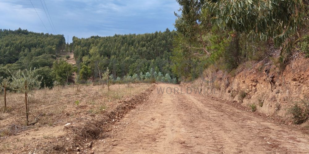 Terreno com 4.700 m² · Igreja Nova do Sobral, Ferreira do Zêzere 3