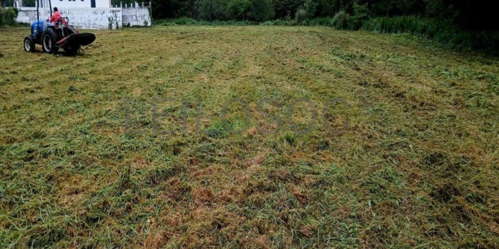 Terreno com 7.650 m² · Âncora, Caminha