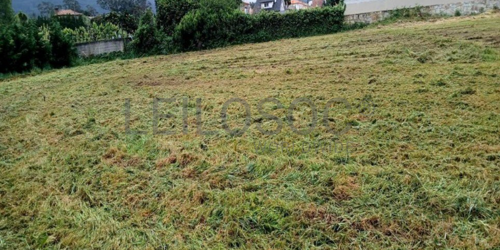 Terreno com 7.650 m² · Âncora, Caminha 3