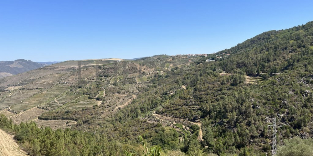 Terreno com 49.470 m² · Vila Seca, Viseu 4
