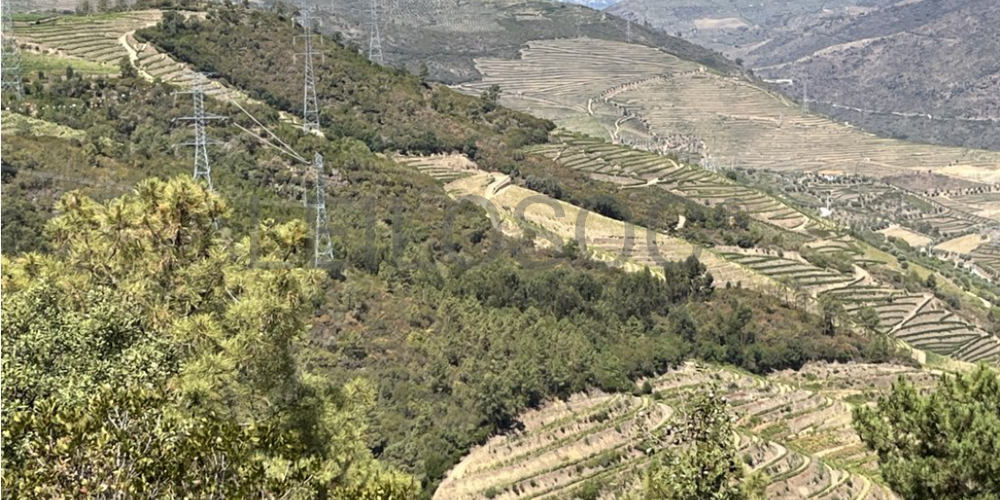 Terreno com 49.470 m² · Vila Seca, Viseu