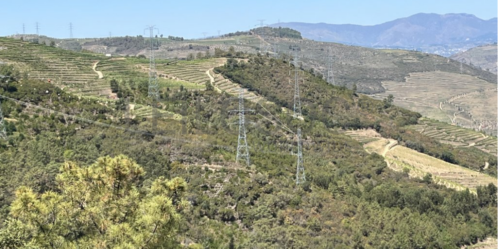 Terreno com 49.470 m² · Vila Seca, Viseu 2