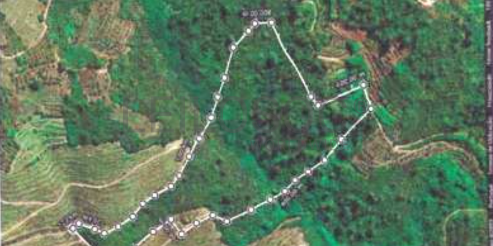 Terreno com 49.470 m² · Vila Seca, Viseu 6