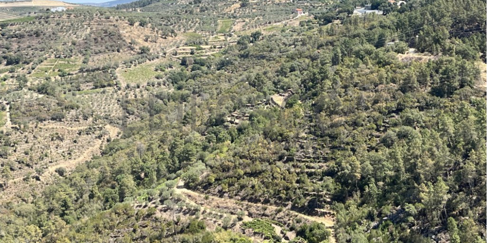 Terreno com 49.470 m² · Vila Seca, Viseu 3