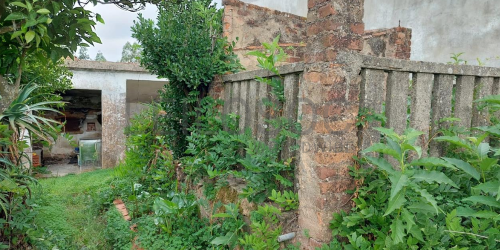 Moradia em Ruínas · Vila Nova da Barquinha, Santarém 3
