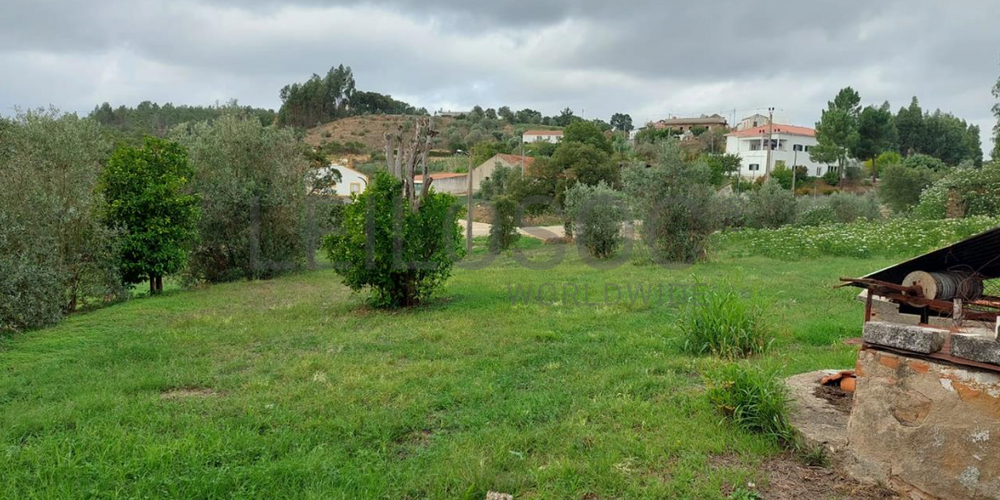 Moradia em Ruínas · Vila Nova da Barquinha, Santarém 6