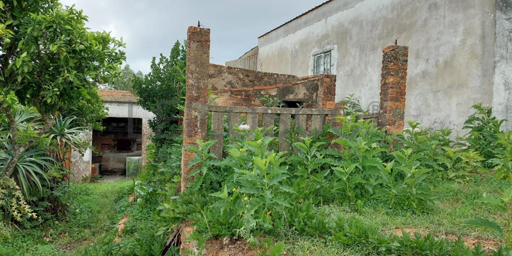 Moradia em Ruínas · Vila Nova da Barquinha, Santarém 2