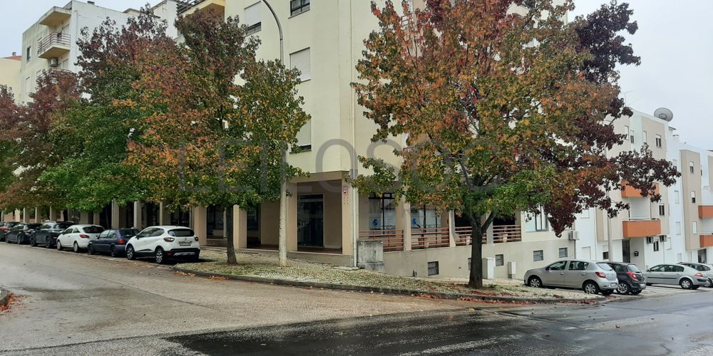 Loja · Torres Novas, Santarém 5