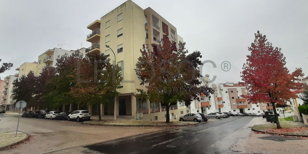 Loja · Torres Novas, Santarém 3