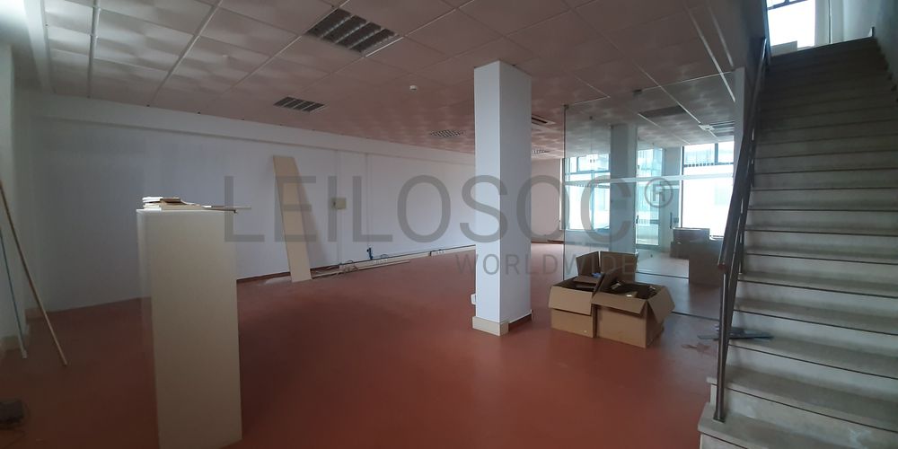 Loja · Torres Novas, Santarém 20