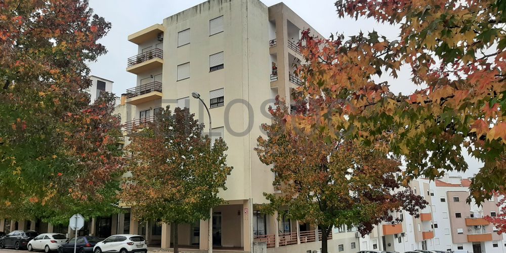 Loja · Torres Novas, Santarém 2