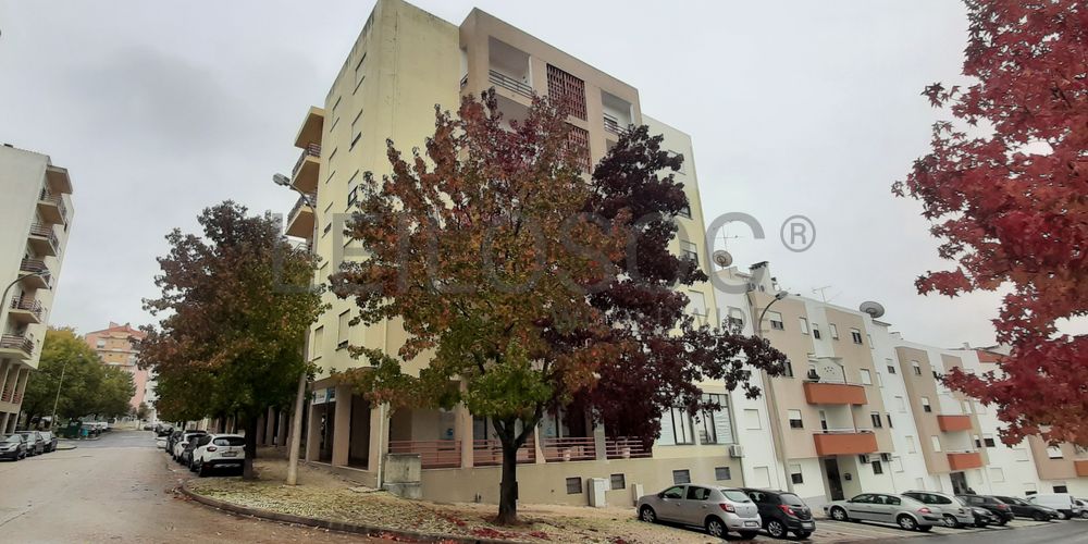 Loja · Torres Novas, Santarém 4