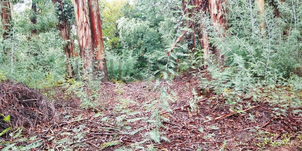 Terreno com 9.200 m² · Tondela